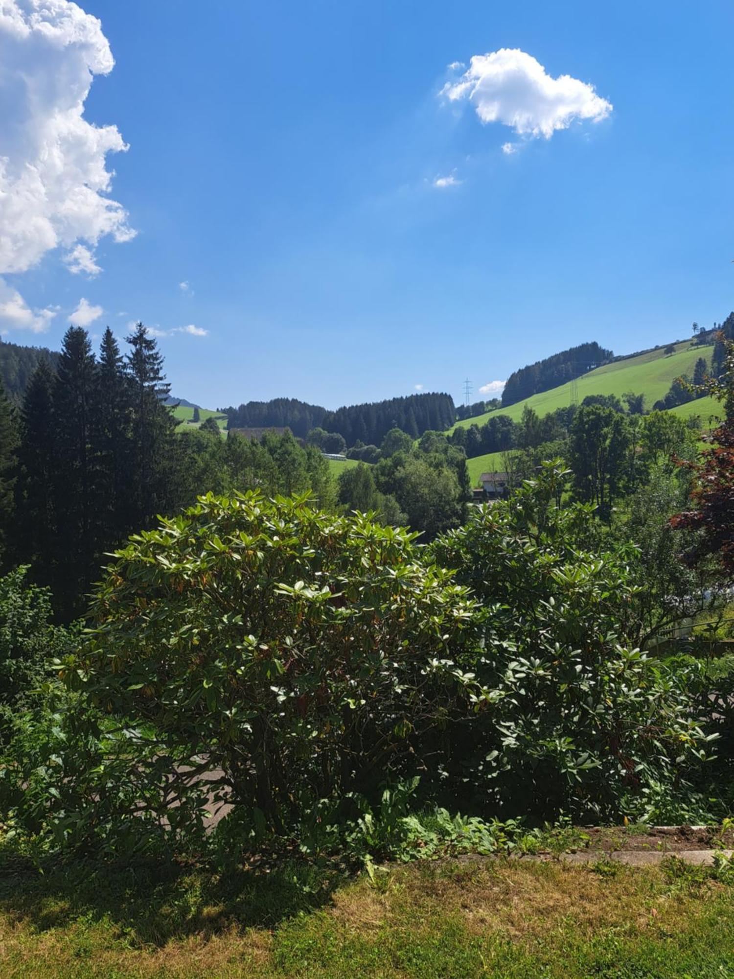 Baumgartner - Bauernhaus Weißkirchen in Steiermark 外观 照片